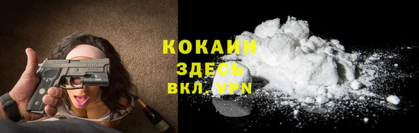 тгк Медвежьегорск