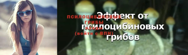 прущий лед Мегион