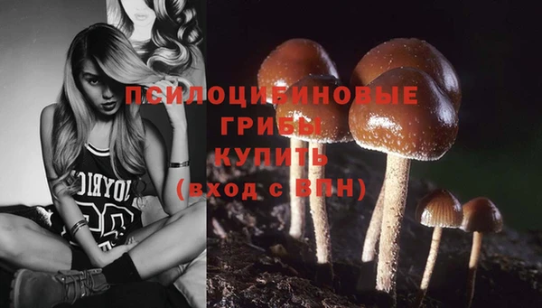 прущий лед Мегион