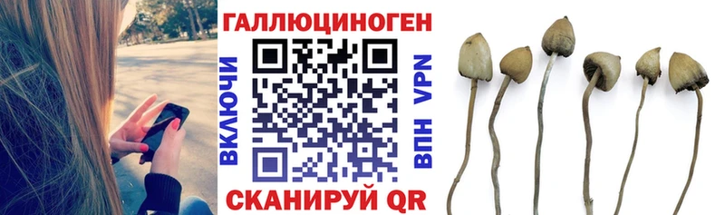 Купить закладки  Курск  Галлюциногенные грибы прущие грибы 